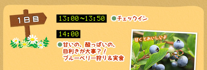 甘いの、酸っぱいの、目利きが大事？！ブルーベリー狩り＆実食