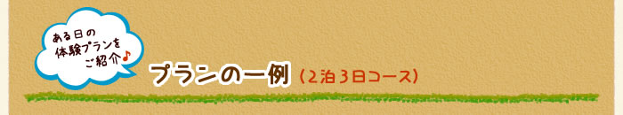 プラン一例（２泊３日コース）
ある日の夏休み体験プランをご紹介♪