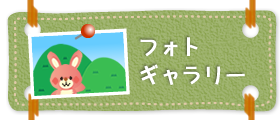 フォトギャラリー