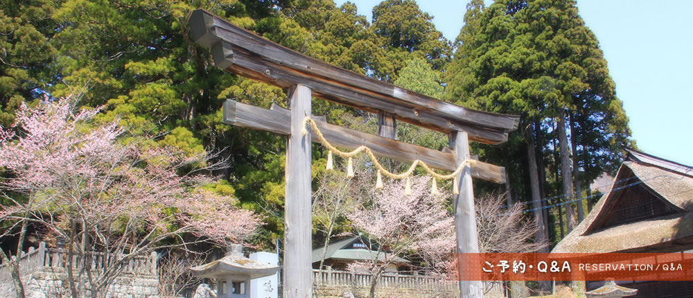 ご予約・お問い合せ