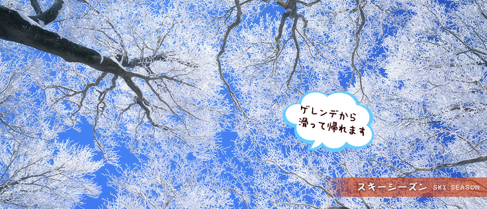 スキーシーズン　ゲレンデから滑って帰れます